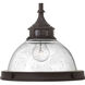 Amelia LED 12 inch Buckeye Bronze Indoor Mini Pendant Ceiling Light