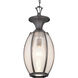 River Place 1 Light 9.25 inch Antique Bronze Outdoor Hanging Lantern