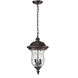 Armstrong 2 Light 10 inch Bronze Outdoor Chain Mount Ceiling Fixture