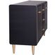 Hector 18.7 inch Matte Black and Gold Sideboard