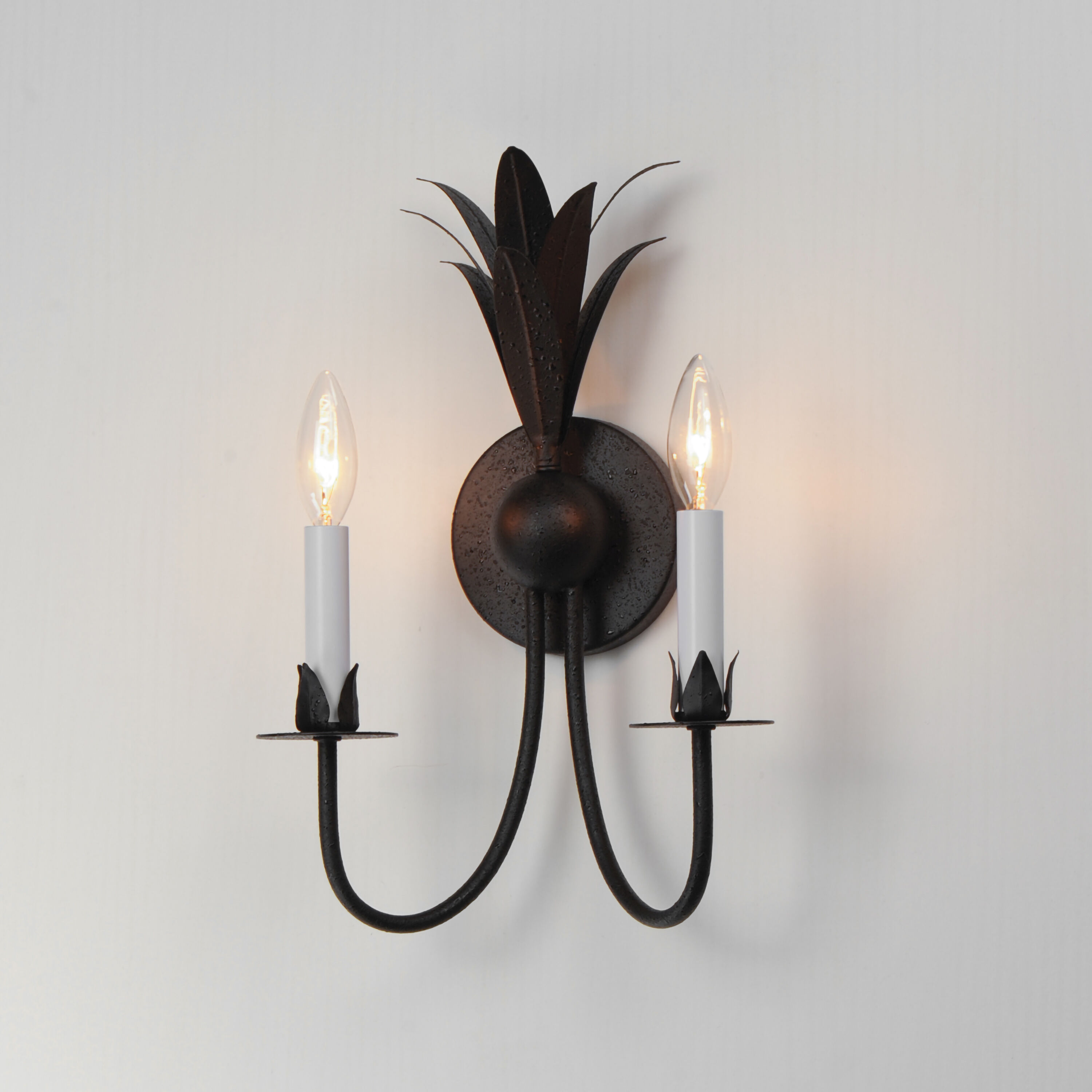 Paloma 2 Light 10.25 inch Anthracite Wall Sconce Wall Light