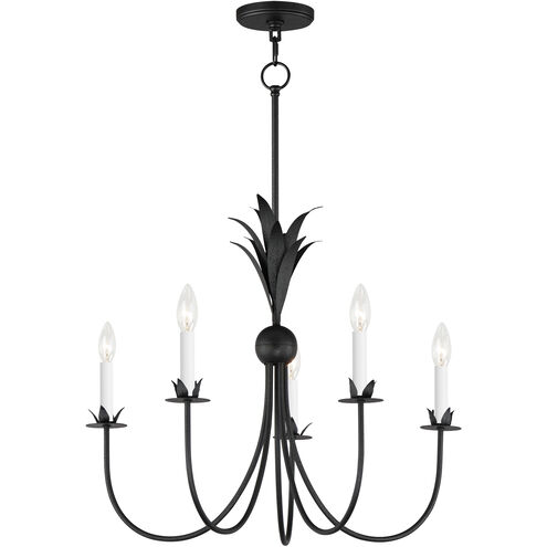 Paloma 5 Light 26 inch Anthracite Chandelier Ceiling Light