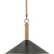 Ocracoke 1 Light 20 inch Blacksmith and Natural Abaca Rope Pendant Ceiling Light