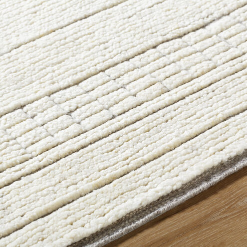 Davey 144 X 108 inch Light Beige Handmade Rug in 9 x 12