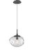 Nova LED LED 10 inch Graphite Pendant Ceiling Light in 2700K LED, Zircon Inner - Clear Outer