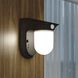 Outdoor Security Black Outdoor Motion Sensor