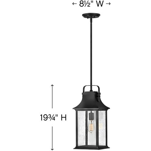Grant LED 9 inch Textured Black Outdoor Hanging Lantern