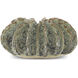 Sunken Boat 13.25 X 6.75 inch Wings Vase