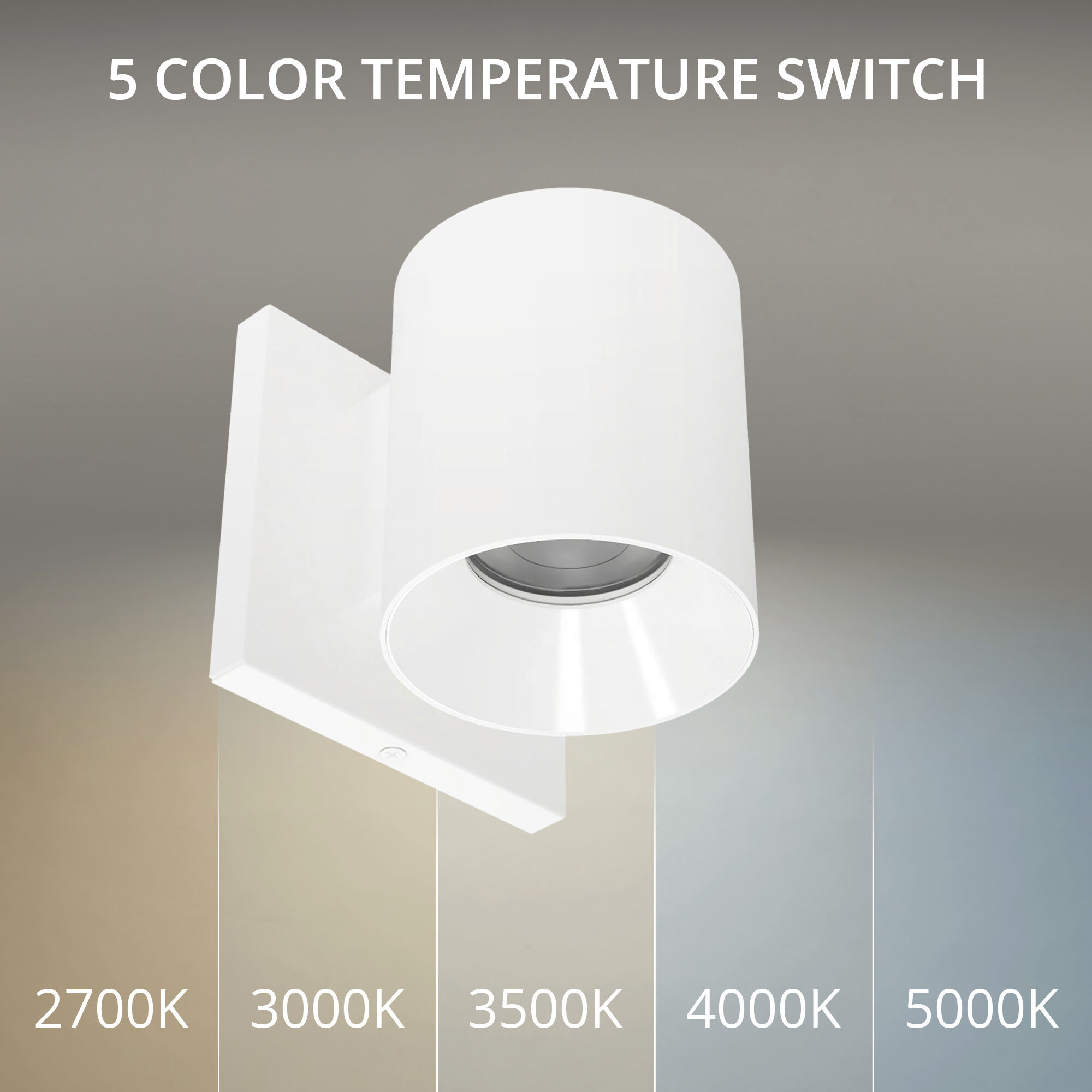 Zoron LED 4.25 inch White Outdoor Wall Lighting