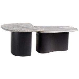 Melt 35 X 17 inch Ebony and Galaxy Marble Coffee Tables, Set of 2