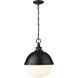 Peyton 2 Light 14.5 inch Matte Black Pendant Ceiling Light