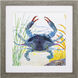 Sea Creature Yellow and Green and Red Framed Art, Propac