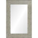 Leda 36 X 24 inch Antique Silver Wall Mirror