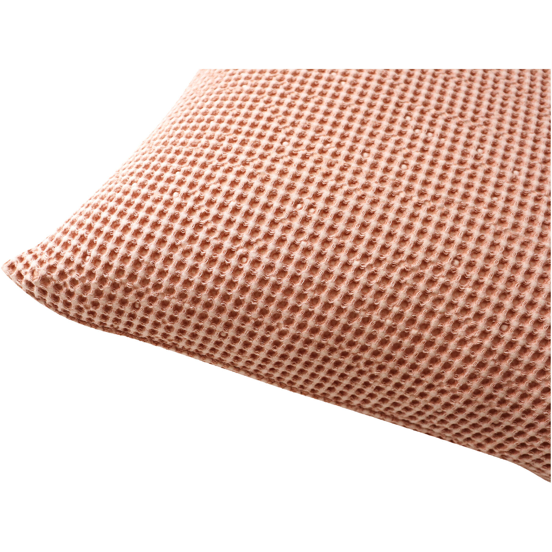 Ria 22 X 22 inch Desert Pink Pillow