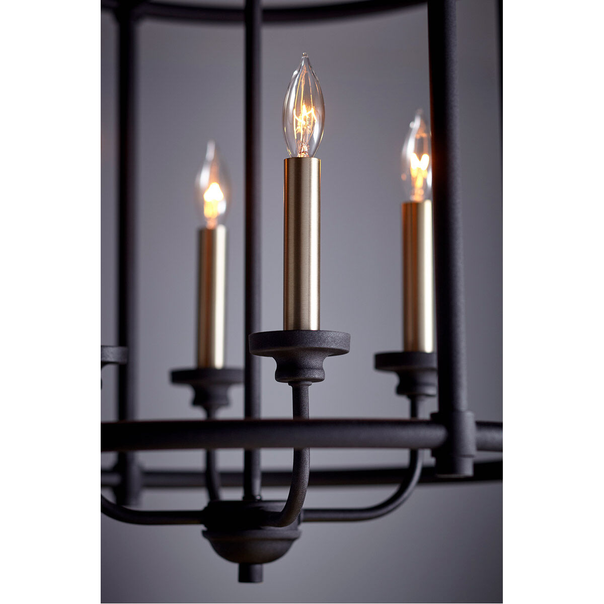 Fort Worth 4 Light 18 inch Noir Mini Chandelier Ceiling Light, Large