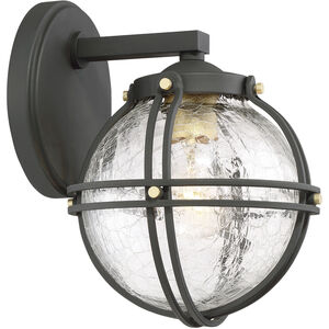 Rond 1 Light 10 inch Coal/Honey Gold Outdoor Wall Mount, Great Outdoors