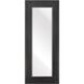Marla 63.75 X 26.25 inch Black with Clear Wall Mirror