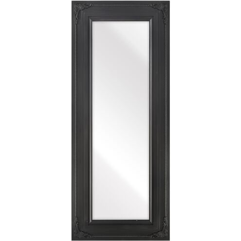 Marla 63.75 X 26.25 inch Black with Clear Wall Mirror