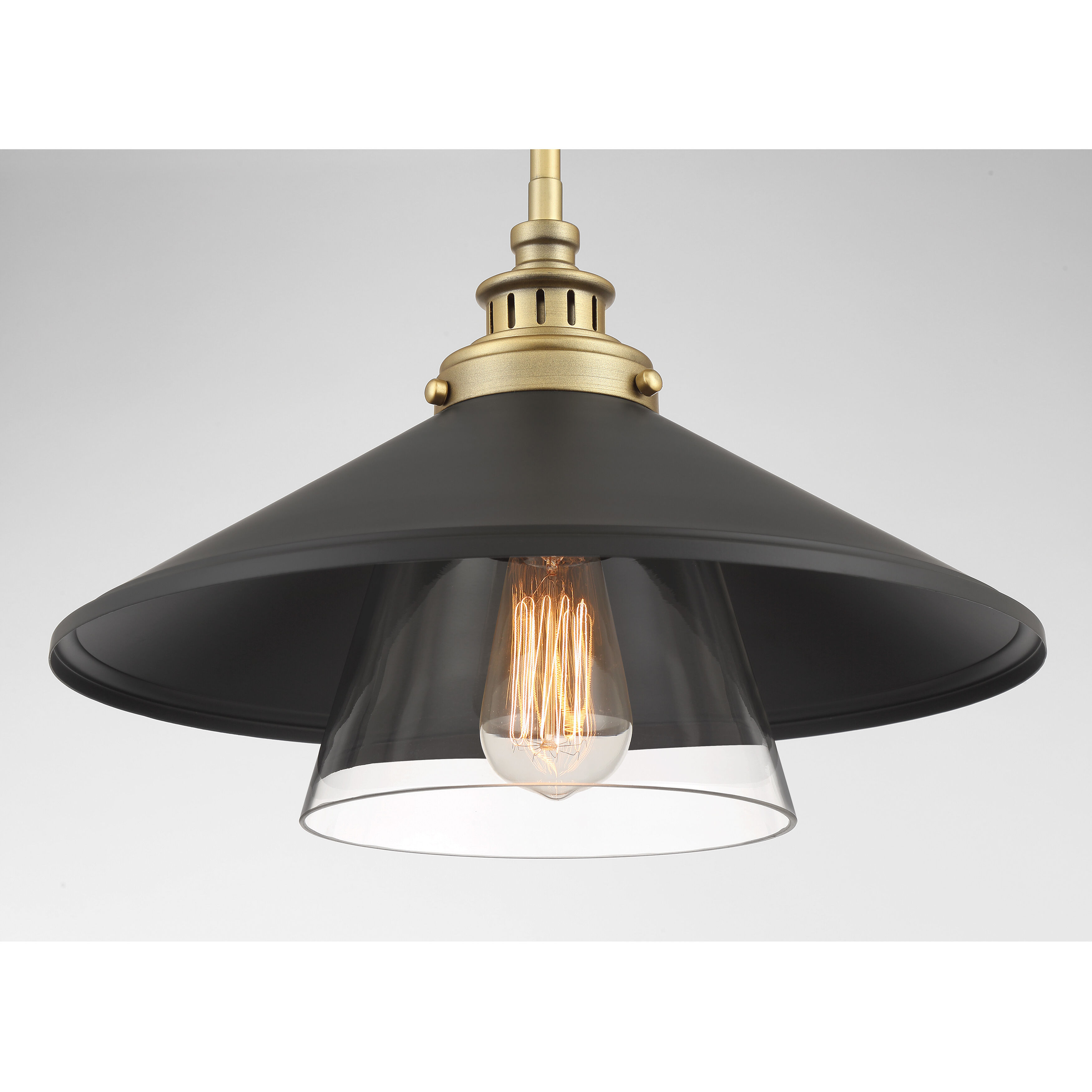 Segan 1 Light 15 inch Coal & Soft Brass (Painted) Mini Pendant Ceiling Light, Outdoor