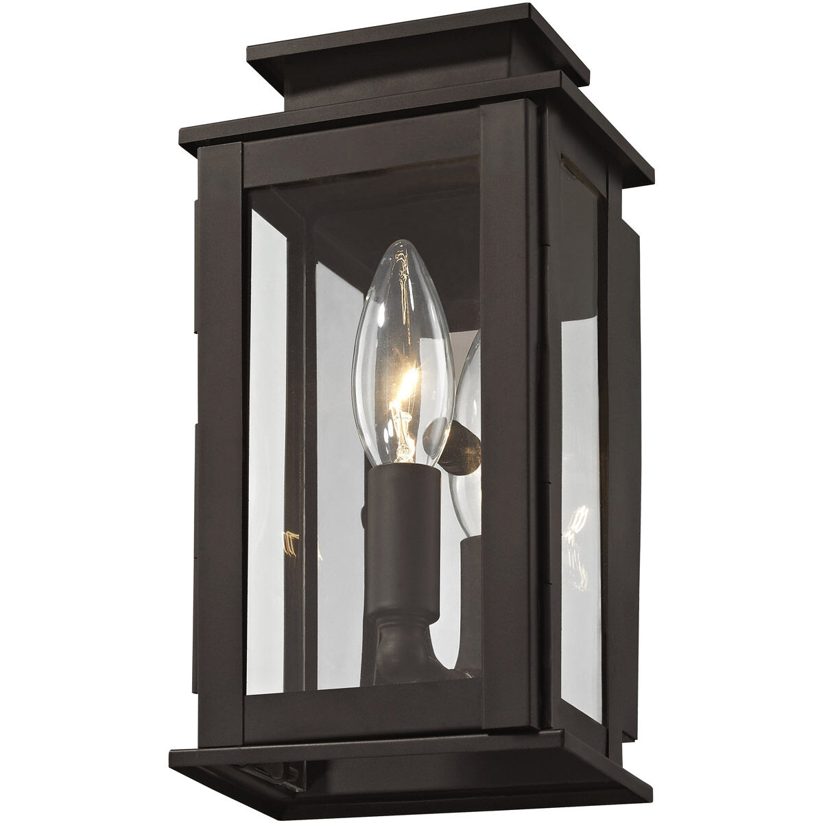 Princeton 1 Light 9 inch Bronze Outdoor Wall Lantern