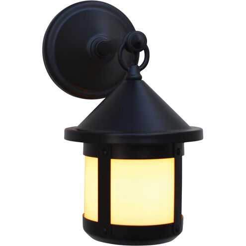 Berkeley 1 Light 10.38 inch Satin Black Outdoor Wall Mount in Gold White Iridescent
