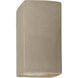 Ambiance 1 Light 5.25 inch Sienna Brown Crackle Wall Sconce Wall Light