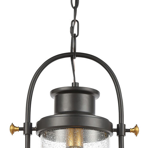 Wexford 8 inch 100.00 watt Matte Black with Brushed Brass Outdoor Pendant