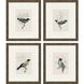 Animals Collection Multi Framed Art