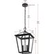 Frankford 2 Light 12 inch Black Outdoor Pendant