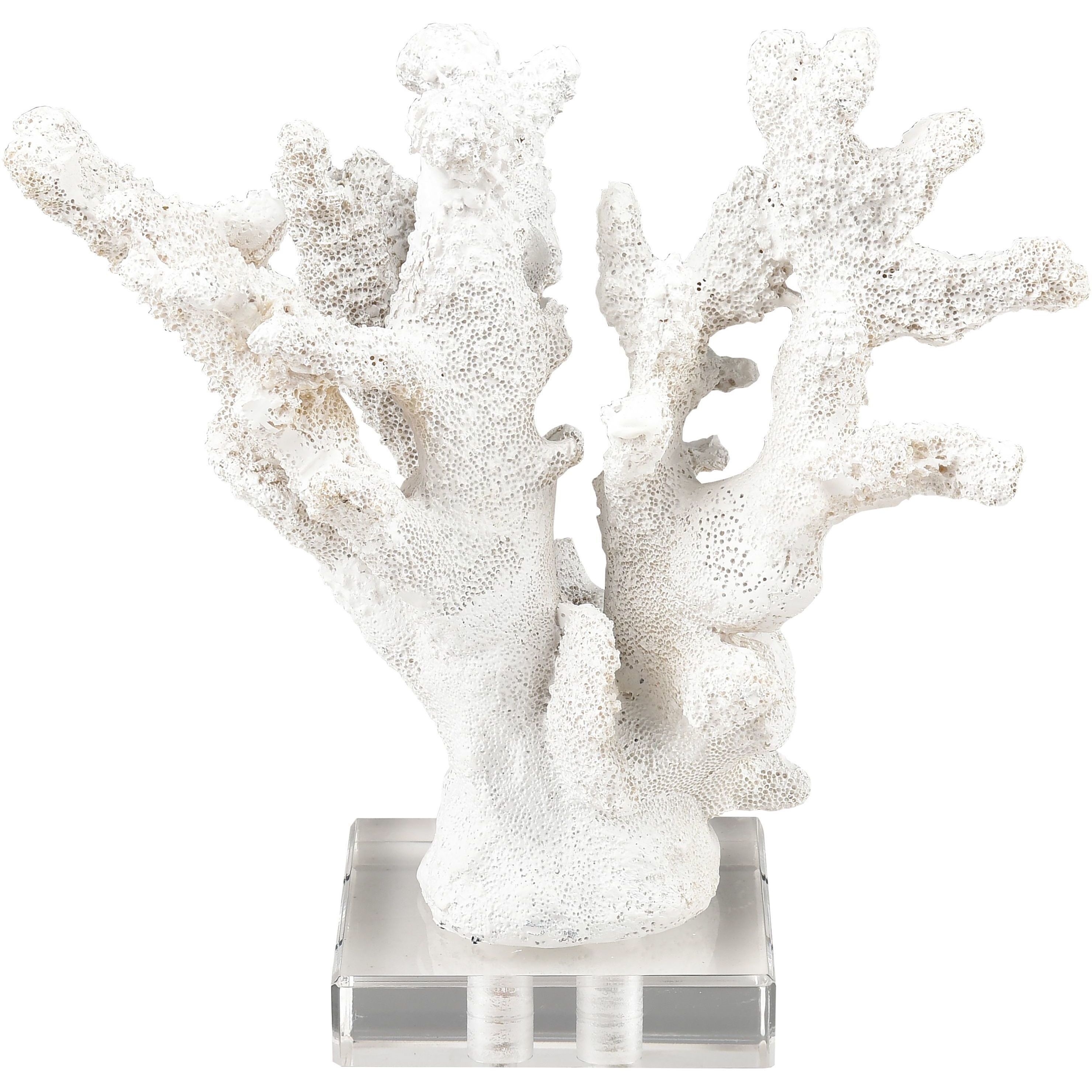 Coral 11.75 X 8.25 inch Sculpture, Set of 2