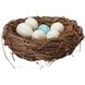 Nest Brown with White and Blue Object