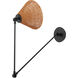 Wicker 1 Light 10 inch Matte Black Wall Mount Wall Light