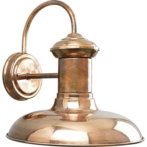 Brookside 1 Light 12 inch Cognac Outdoor Wall Lantern in Copper, Standard, Large