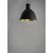Cora 1 Light 8.75 inch Black and Gold Single Pendant Ceiling Light