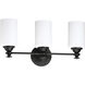 Neighborhood Dardyn 3 Light 21.5 inch Espresso Vanity Light Wall Light in White Frosted Glass
