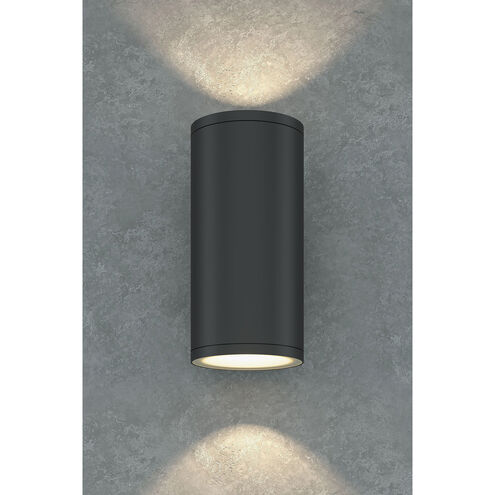 Outdoor Cylinder LED 13 inch Anthracite Outdoor Wall Sconce