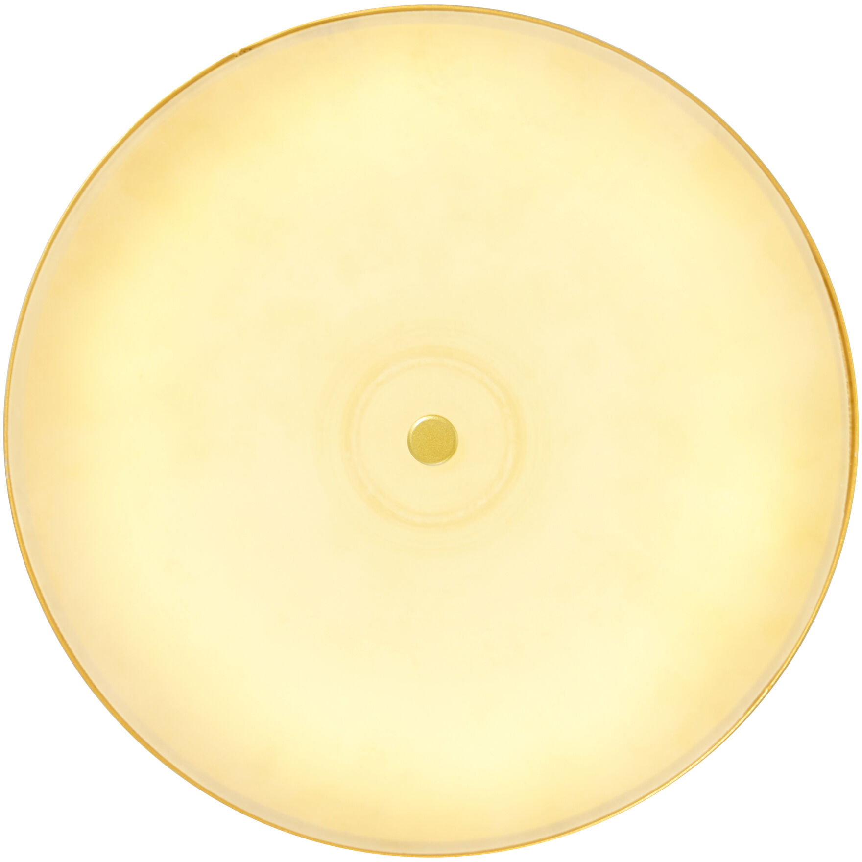 Saleen LED 9 inch Brass and Black Mini Pendant Ceiling Light