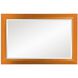 Avery 42 X 28 inch Glossy Orange Wall Mirror