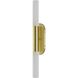 Canada Wall Sconce Wall Light in Satin Brass