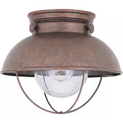 Outdoor Ceiling Lights