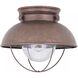 Sebring 1 Light 11.25 inch Weathered Copper Outdoor Ceiling Flush Mount