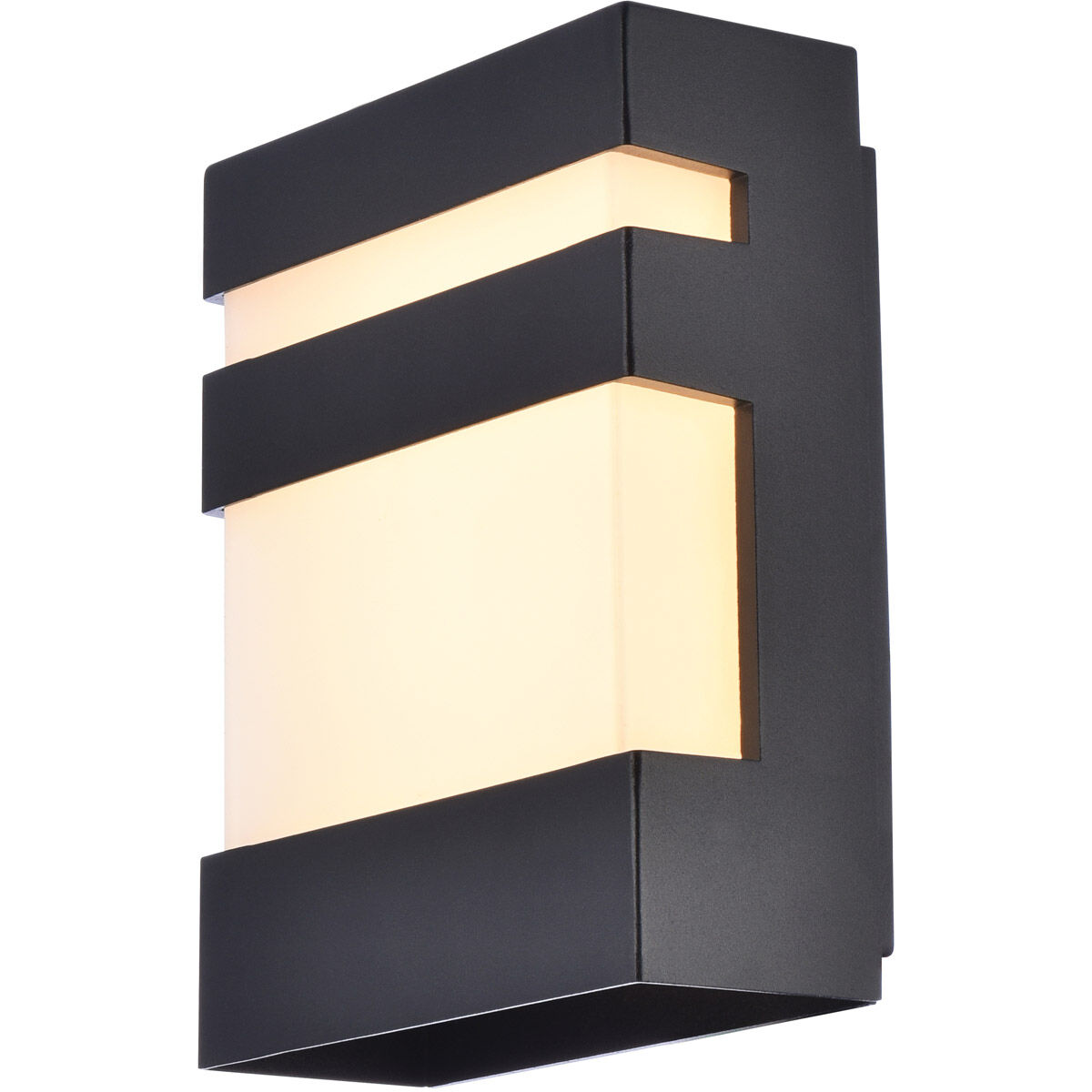 Raine Outdoor Wall Light in Black