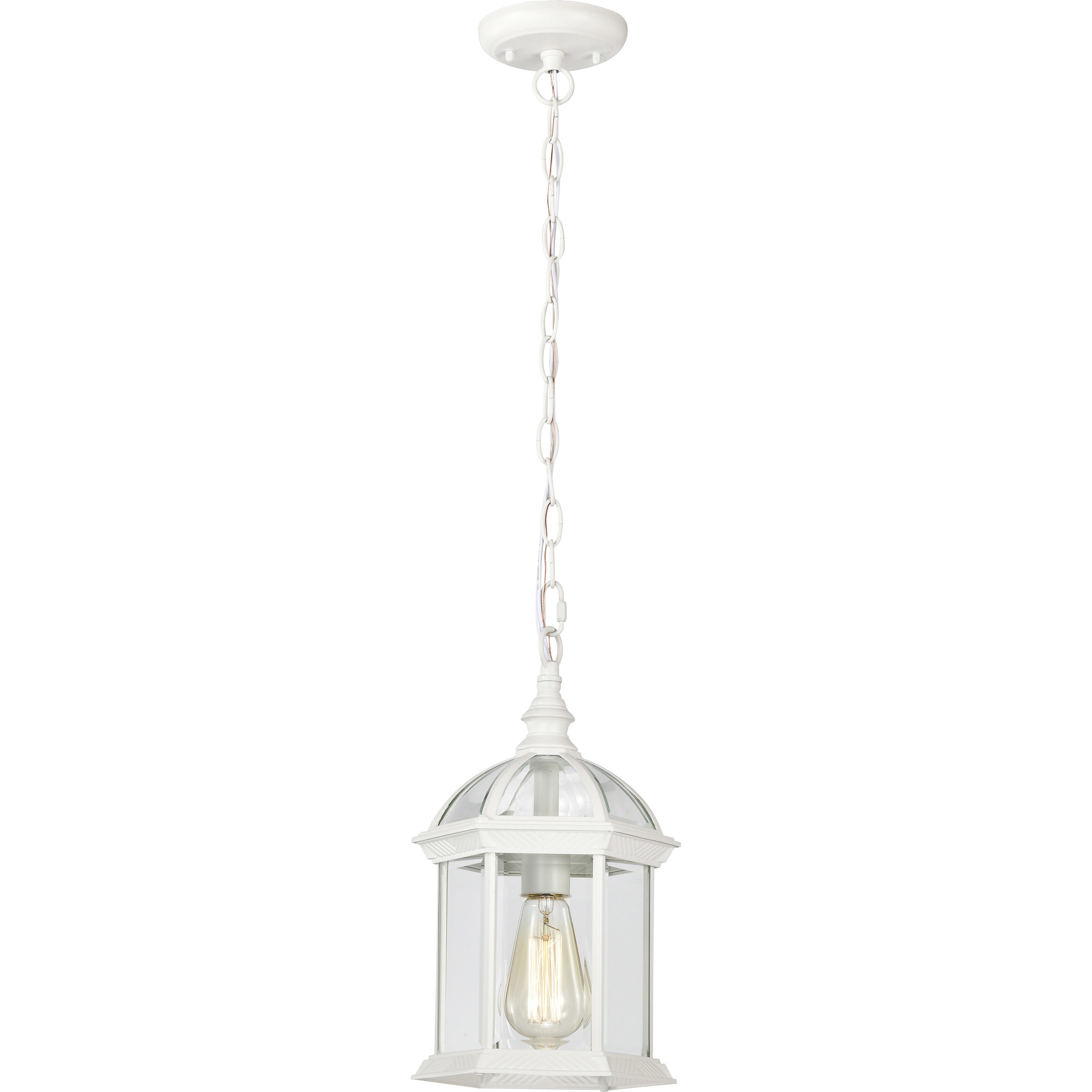 Boxwood 1 Light 8 inch White Outdoor Hanging Lantern