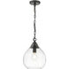 Ariella Pendant Ceiling Light in Matte Black, Clear Hammered, Small
