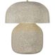 Leetown 16.75 inch 15 watt Aged Brass and Ceramic Inked Crackle Table Lamp Portable Light