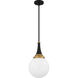 Arlo 1 Light 10 inch Matte Black Pendant Ceiling Light