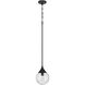 Reflection 1 Light 8 inch Flat Black Mini Pendant Ceiling Light