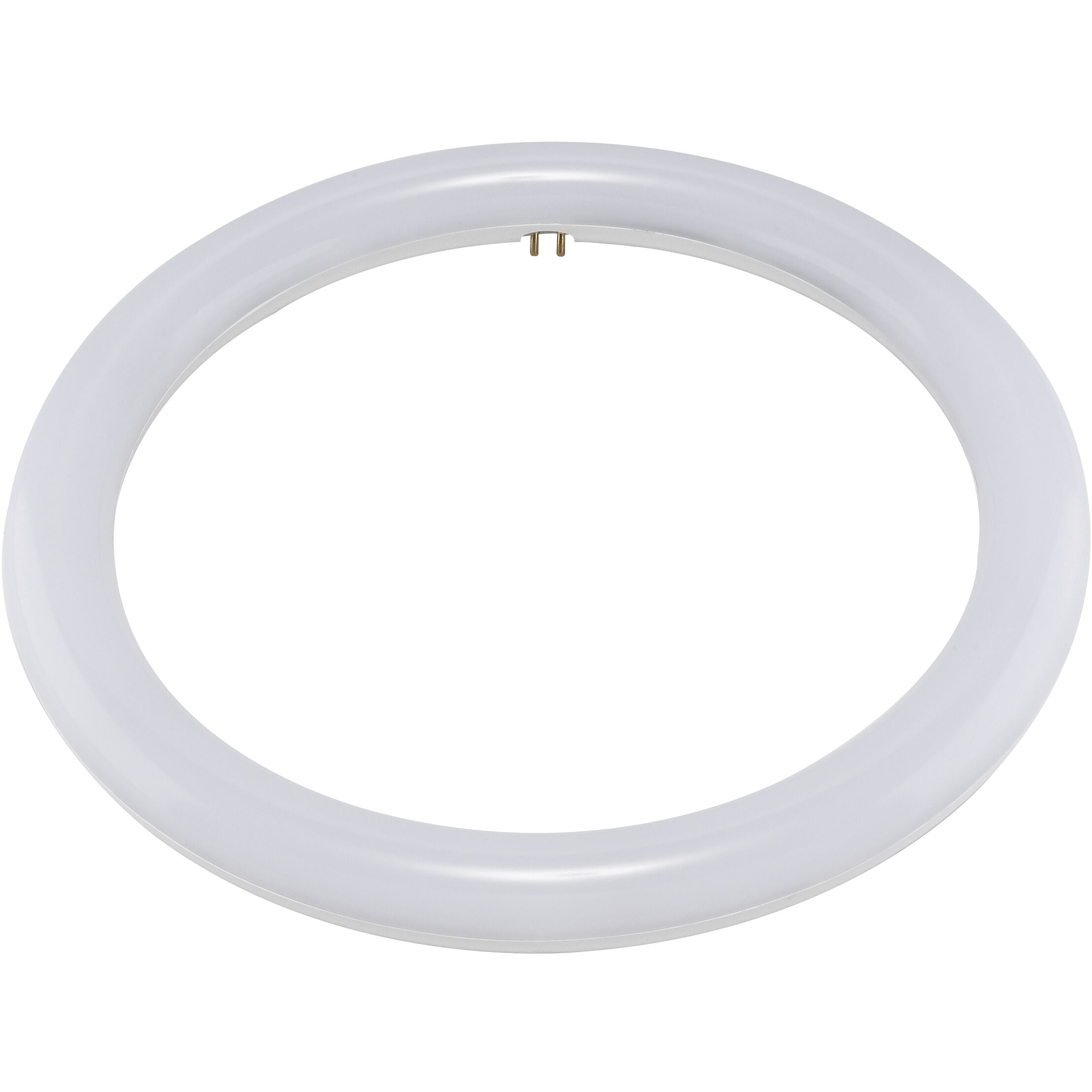 Circline LED T9 4-Pin 16 watt 120V 4000K Light Bulb