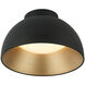 Zenith 1 Light 11.88 inch Matte Black Flush Mount Ceiling Light