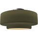 Radiance LED 16.5 inch Matte Green and Brushed Nickel Semi Flush Ceiling Light